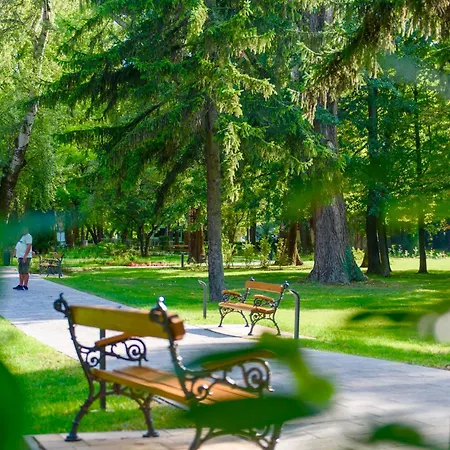 Apartman Aranyhid *